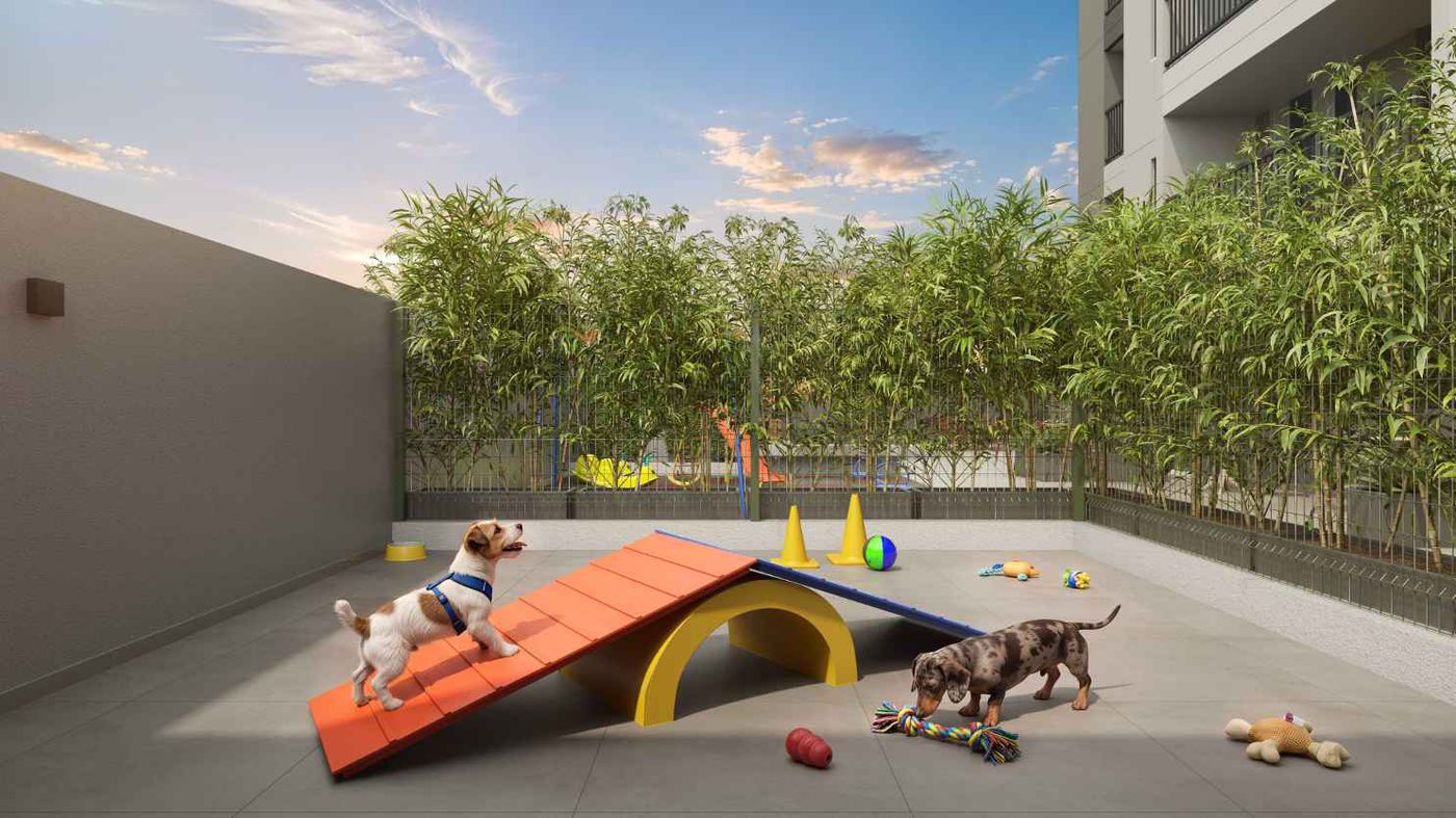 Pet place do Converge